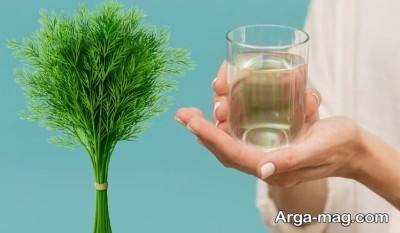 خواص عرق شوید و کاربردهای درمانی آن