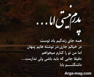 متن ناب در مورد دلتنگی پدر
