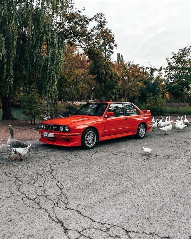 افسانه‌ای جاودان: ب‌ام‌و E30 M3 