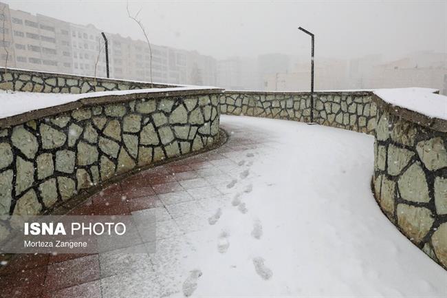 بارش برف در تهران