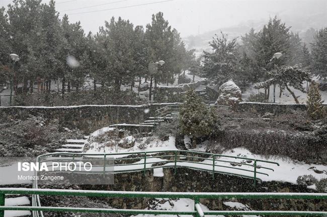 بارش برف در تهران