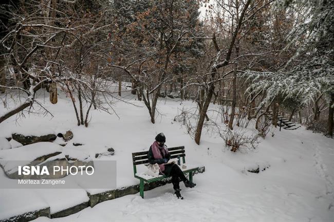 بارش برف در تهران