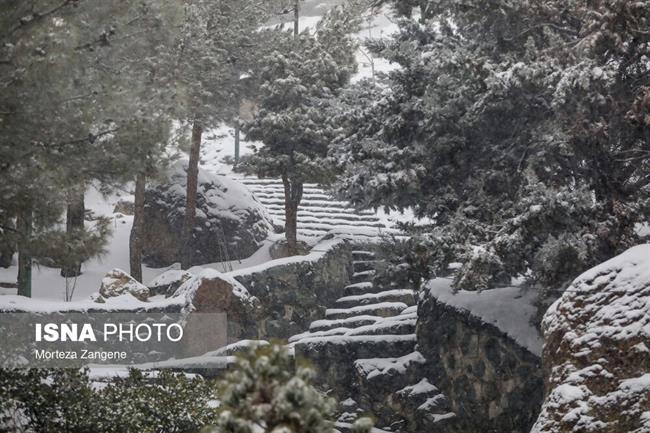 بارش برف در تهران