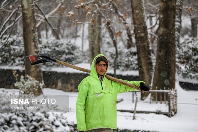 بارش برف در تهران