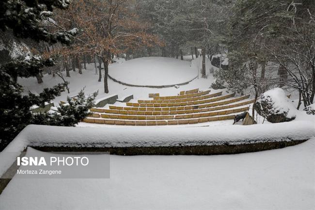 بارش برف در تهران