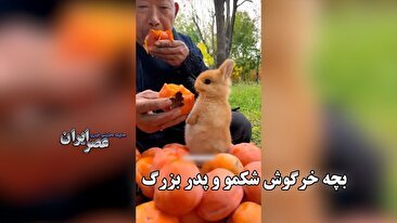 بچه خرگوش شکمو و پدر بزرگ / رفتار پدربزرگ با خرگوش مثل یک نوه (فیلم)