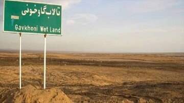 نامه رؤسای دانشگاه‌های اصفهان به رئیس سازمان محیط‌زیست برای احیای گاوخونی