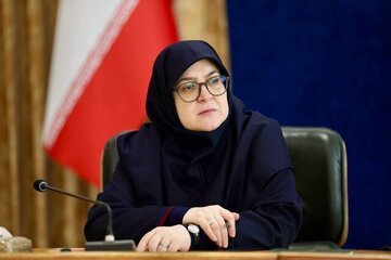 هشدار مهاجرانی درباره تبعات نپیوستن به FATF/ بانک ها زمین گیر شده اند، باید آنها را از تحریم خارج کنیم