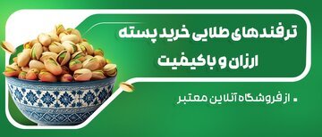 ترفندهای طلایی خرید پسته ارزان و باکیفیت از فروشگاه آنلاین معتبر