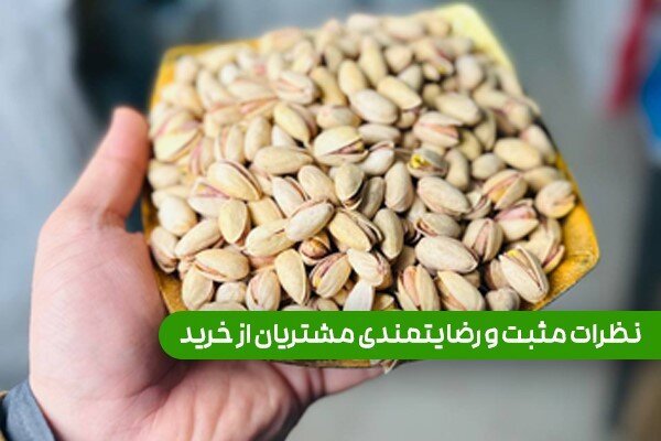 ترفندهای طلایی خرید پسته ارزان و باکیفیت از فروشگاه آنلاین معتبر