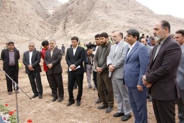 پویش درختکاری در راستای توسعه فضای سبز شهر کرمان آغاز شد