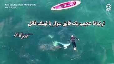 ارتباط عجیب یک قایق سوار با نهنگ قاتل / غافلگیری در طبیعت (فیلم)