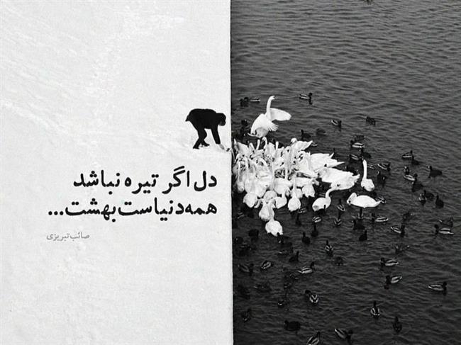 امروز با صائب تبریزی: دل اگر تیره نباشد همه دنیاست بهشت