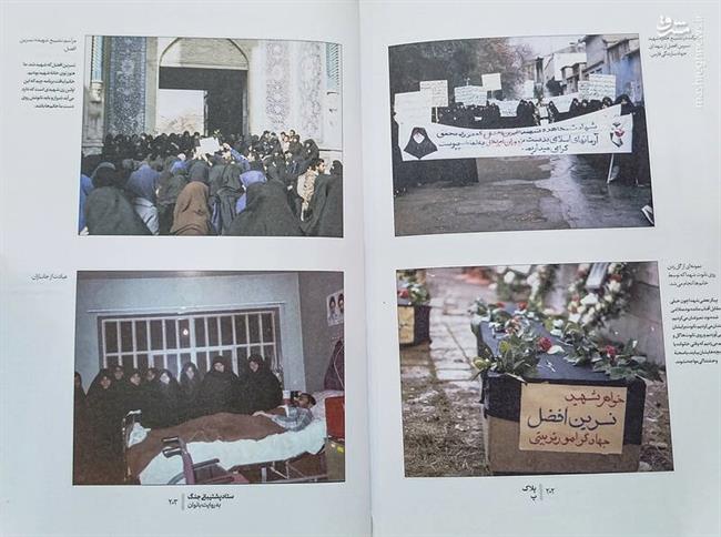 دستهگل زنان و موشهایی که در دیگ شربت افتادند!
