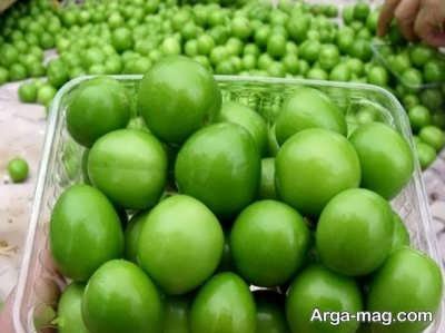 خشک کردن آلوچه با سولار دم