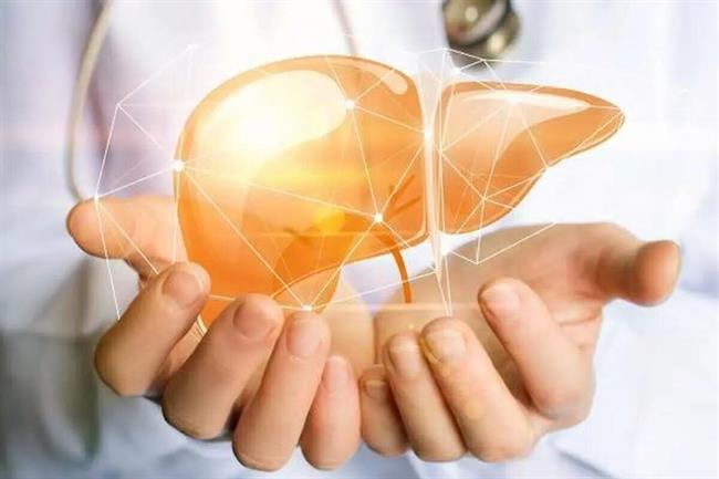 بهترین مواد غذایی برای سلامت کبد را بشناسید