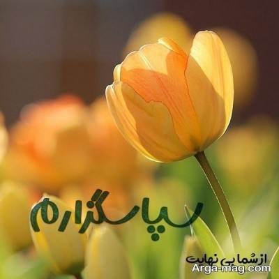 متن زیبا تشکر