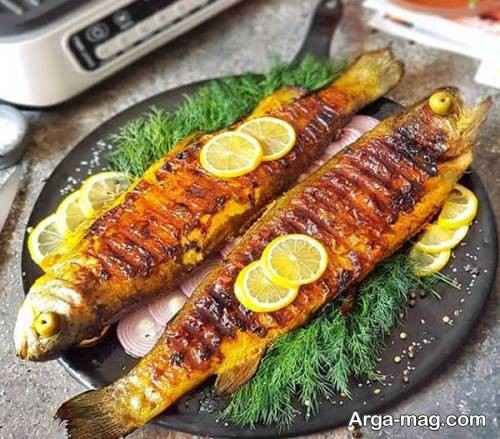 دیزاین مجلسی ماهی سرخ شده