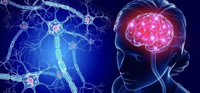 آیا بالا رفتن از پله‌ها می‌تواند برای مغزتان مفید باشد؟