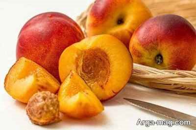 تعبیر خواب شلیل