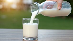 شیر بیشتر از آب کم‌آبی بدن را جبران می‌کند
