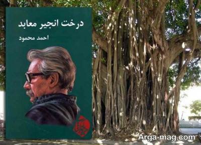 جملات ناب رمان درخت انجیر معابد