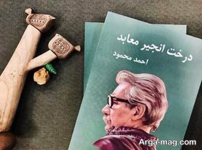 جملات زیبا رمان درخت انجیر معابد