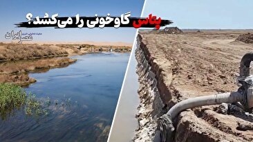 پتاس گاوخونی را می‌کُشد ؟ گرفتن آخرین رمق‌های تالاب / تکرار بلایی که بر سر دریاچه ارومیه آوردند (فیلم)