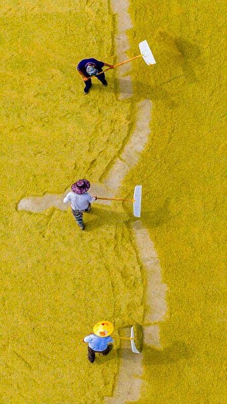 دیدنی های امروز؛ از کوچ اجباری مردم غزه تا آزمایش موتور موشکی جدید چین