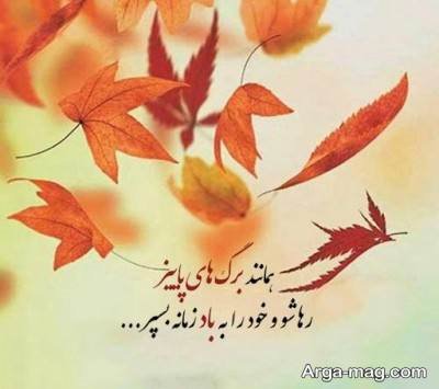 متن ناب در مورد باد