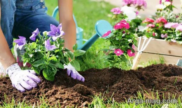 روش های مراقبت از پوست هنگام باغبانی