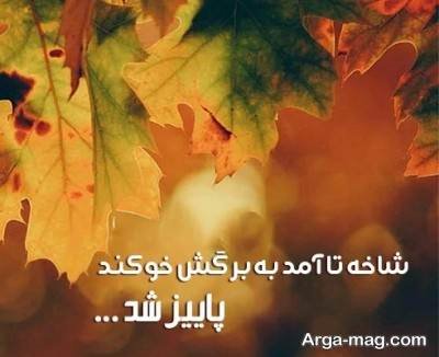 کپشن درباره پاییز و جملات زیبا برای عکس های زیبای پاییزی
