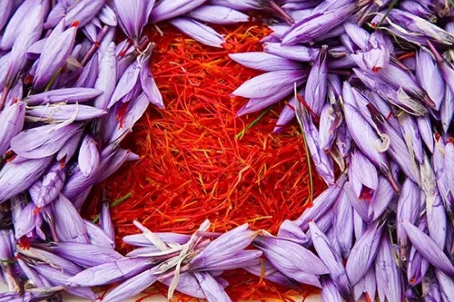 زعفران نگین طوبی