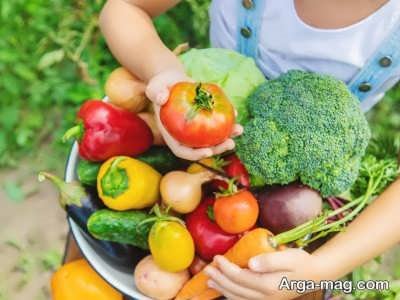 مواد غذایی نیکوتین دار
