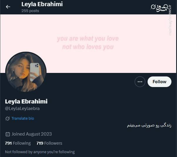 شبکه مشترک پرستوهای موساد و سلطنت‌طلبان برای عملیات «فرار از زندان»/ نام رمز جنگ سایبری اسرائیل علیه ایران چه بود؟ +تصاویر