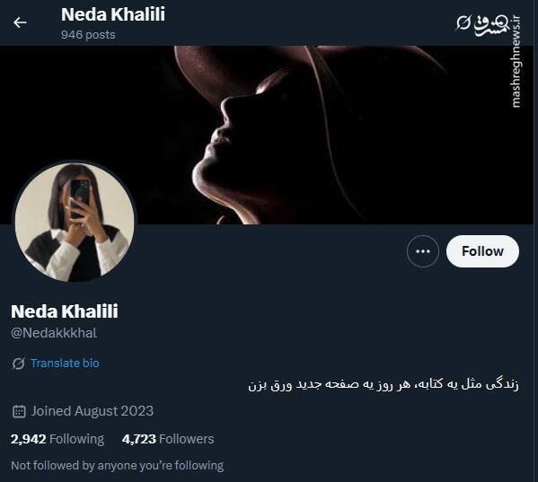 شبکه مشترک پرستوهای موساد و سلطنت‌طلبان برای عملیات «فرار از زندان»/ نام رمز جنگ سایبری اسرائیل علیه ایران چه بود؟ +تصاویر