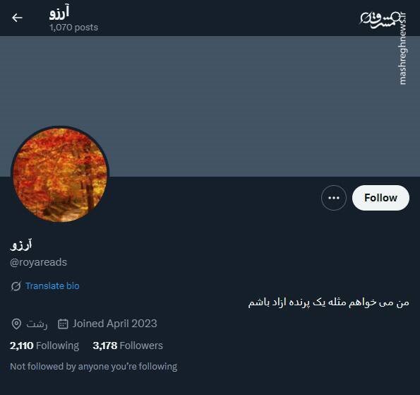 شبکه مشترک پرستوهای موساد و سلطنت‌طلبان برای عملیات «فرار از زندان»/ نام رمز جنگ سایبری اسرائیل علیه ایران چه بود؟ +تصاویر