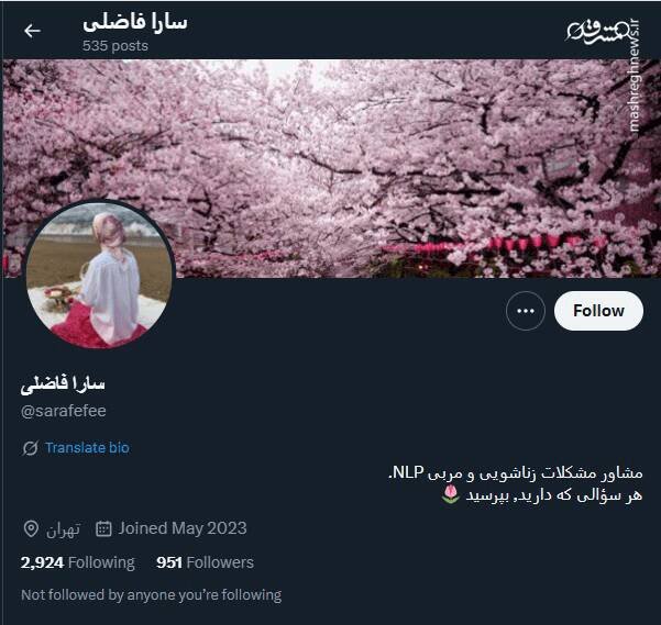 شبکه مشترک پرستوهای موساد و سلطنت‌طلبان برای عملیات «فرار از زندان»/ نام رمز جنگ سایبری اسرائیل علیه ایران چه بود؟ +تصاویر