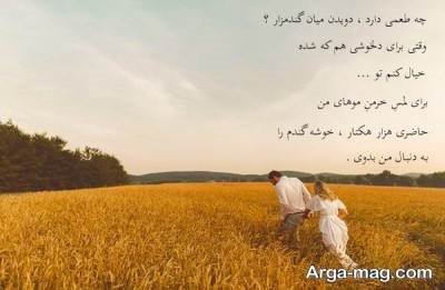 متن ناب در مورد گندم