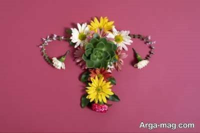 تداخل های قرص پونیکا