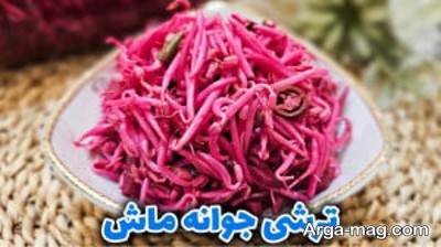 طرز تهیه ترشی جوانه ماش؛ سالم، خوش عطر و متفاوت!