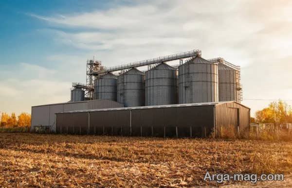 بهترین ترفندها برای نگهداری سویا