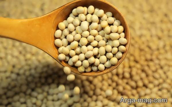 روش های نگهداری سویا