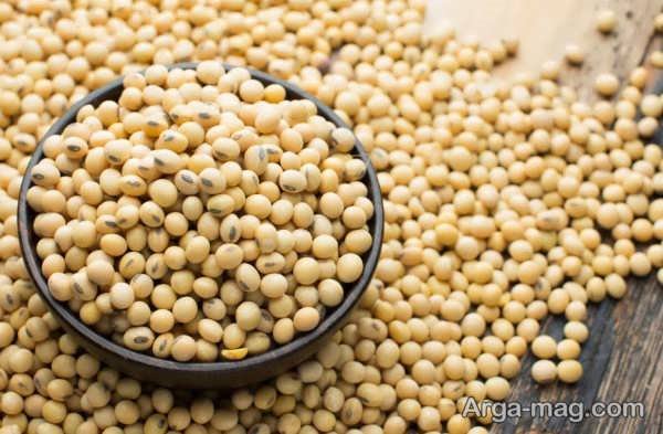 روش درست نگهداری سویا