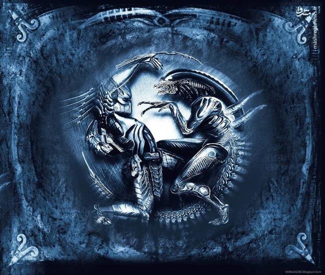 شکارچی تنها: چرا فرنچایز «غارتگر» در جهان‌سازی شکست خورد؟/ «از آرنولد تا انیمیشن؛ چرا هیچ‌کس دیگر از شکارچی‌های فضایی نمی‌ترسد؟