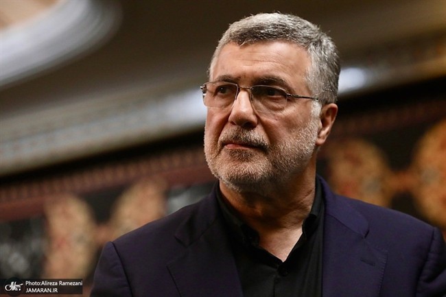 ظفرقندی: الان در قله پیک آنفلوآنزا هستیم