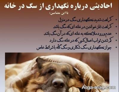 حدیث دلنشین در مورد سگ