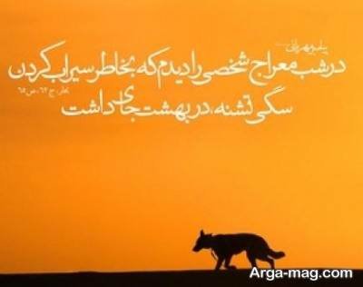 حدیث ناب در مورد سگ