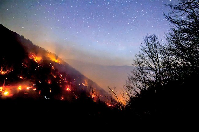 اختلاف مجلس و محیط‌زیست بر سر «الیت»