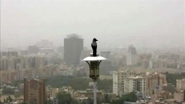 نقدی جامع بر سیاستهای مقطعی کنترل آلودگی هوا و ضرورت اصلاحات ساختاری